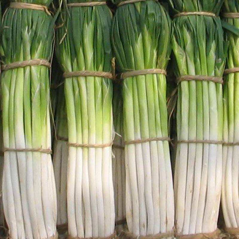 嘉興食堂承包